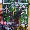 巨樹巨木図鑑の画像