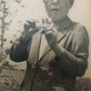 植物学の女性パイオニアー保井コノの功績と挑戦ーの画像