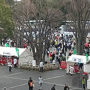 京都マラソン2024に参加する 京都マラソン旅行３日目の画像