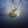 2月の満月はスノームーン、最後の満月の画像