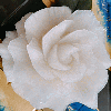 大根で作ったバラの花♪の画像