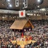 大相撲来場所３月10日から大阪での画像