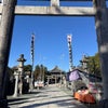コザクラインコブリーダーHONOKUNIの豊川稲荷参拝の画像