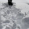 雪を漕いで歩くの画像