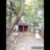 （動画）身近な神社発見～大阪府枚方市津田東町の土山神社の画像
