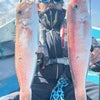 超高級魚白甘鯛にクログチＧＥＴ‼️－３日の釣果－の画像