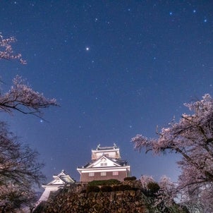 ⭐お城と夜桜/Echizen Ono Castle and cherry blossoms atの画像