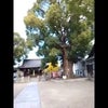 （動画）身近な神社発見～大阪府門真市上島町の島頭天満宮の画像