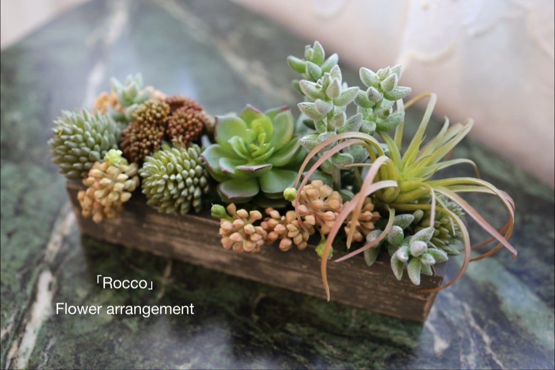 ꫛꫀꪝ多肉植物&アジアンタム(ホワイト)❁フェイクグリーン寄せ植え風 ꫛꫀꪝ多肉植物&アジアンタム(ホワイト)❁フェイクグリーン寄せ植え風