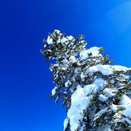 画像 旭岳と旭川ぶらり旅で雪が作る素敵な景色に出会えた　⛰旭岳 標高2,291㍍⛰ の記事より 5つ目