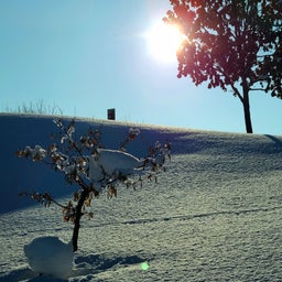 画像 旭岳と旭川ぶらり旅で雪が作る素敵な景色に出会えた　⛰旭岳 標高2,291㍍⛰ の記事より 8つ目
