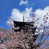 母と京都への画像