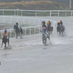 画像 ◎愛馬グレートアクター、雨の名古屋競馬場で初勝利挙げる の記事より 2つ目