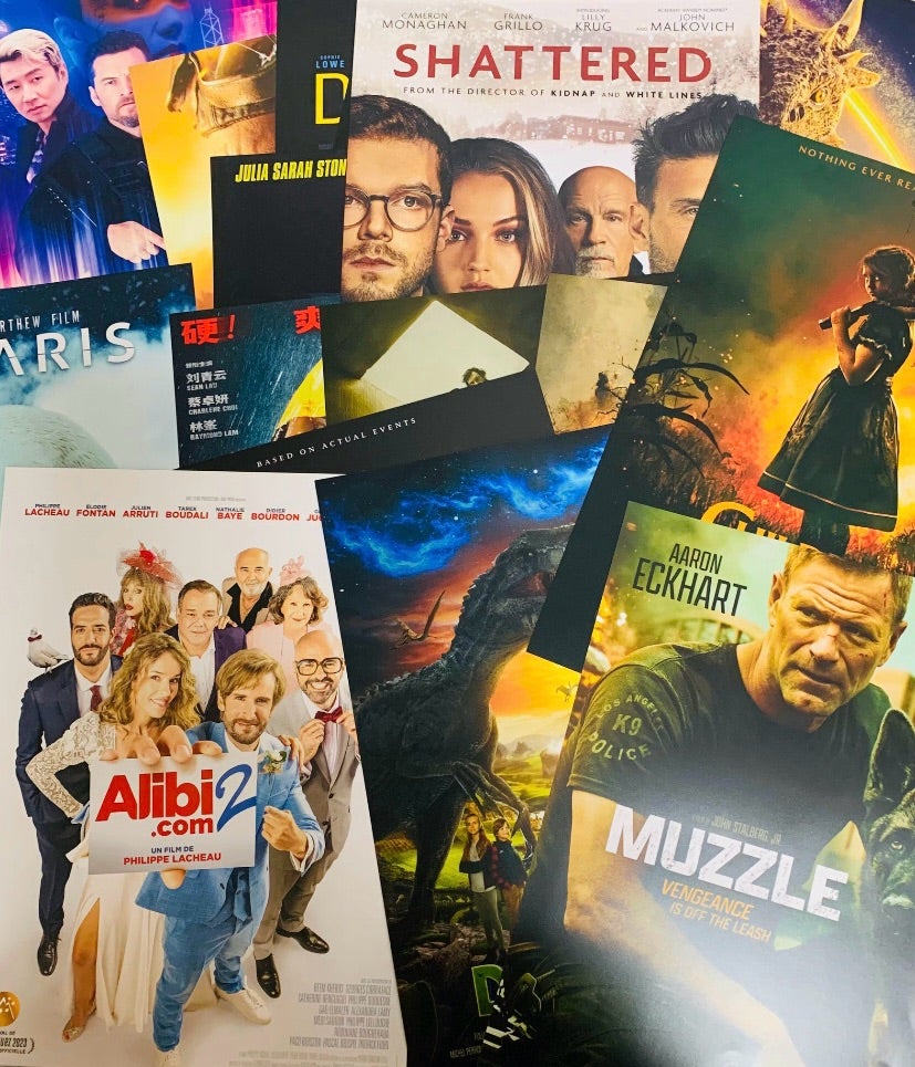 未体験ゾーンの映画たち2024』「18作品賞」で海外ビジュアルチラシ 