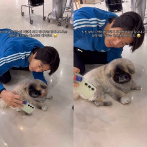 俳優クォン・サンウがファンの子犬と情熱的な自撮りを撮る姿で注目を集めた。の画像