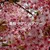 ✨美桜ラグジュアリーコース✨メニュー内容の画像