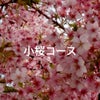 ✨小桜コース✨メニュー内容の画像