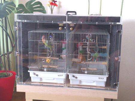 インコのアクリルケース＋吸音材の効果☆検証しました☆ | ハッピー 