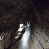 気づきのシェア    四国の旅　 ただいま龍河洞の巻きの画像