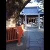 （動画）身近な神社発見～大阪府寝屋川市八坂町の八坂神社の画像