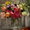 3月のベランダの花達の画像