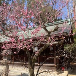 画像 京都非公開文化財特別拝観の旅 の記事より 2つ目