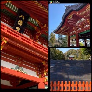 横須賀線で鎌倉への画像