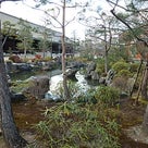 京都ひとり散歩（その12）～蓮華王院本堂・三十三間堂の記事より
