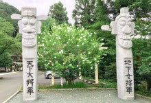 高麗神社３