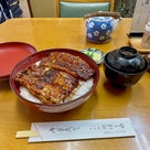 愛知県グルメ旅！ひとりで探して食べた鰻が絶品『のぼりや』・・・愛知県豊橋市の記事より
