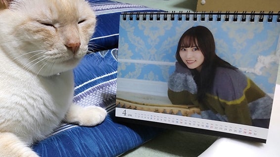 可愛い白猫とSARD UNDERGROUND IZUMI SUGIOKA