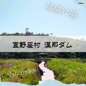 【自然観察記】漢那ダム、池の浮橋が楽しい自然ふれあい公園