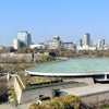 いいお天気の大阪❗️の画像