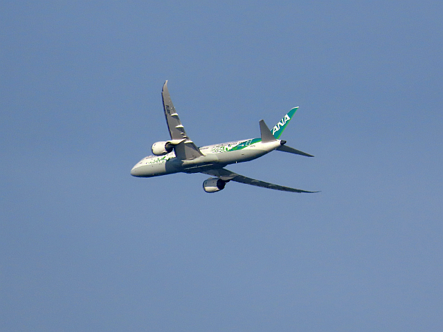 飛行機 ANA Green Jet (グリーンジェット) (04) | みえたもの 飛行機 ANA Green Jet (グリーンジェット) (04) | みえたもの