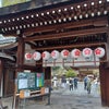 京都のお花見＆ランチの画像