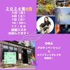 【4月5日（金）6日（土）7日（日）　函館コスタにて単独イベント！】の画像