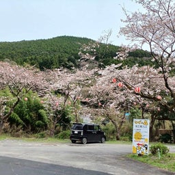 画像 念願かなって有機農面積割合全国１位の高知県の馬路村に行きました。 の記事より 1つ目