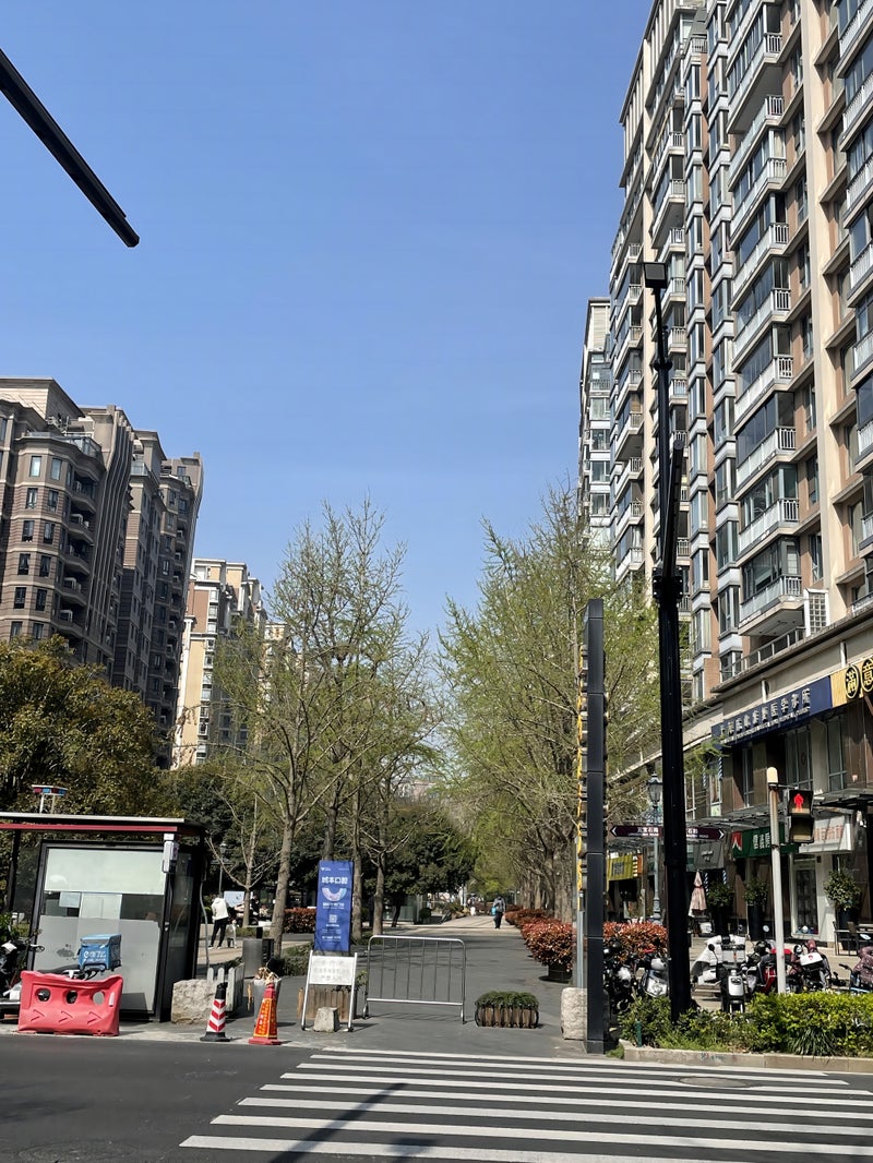 上海美知中国語語学学校周辺・黄金城道歩道者天国