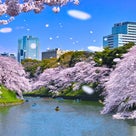 【2024年・春】随筆「桜」～私の好きな「桜」にまつわる話～の記事より