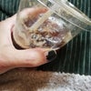 アイス、コーヒー　、　頂きます　。　アップルシナモンシュガー　、　かけて　、　。の画像