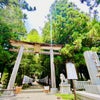7月8日～11日【熊野三山】＆【伊勢神宮】ツアー（計画中）の画像