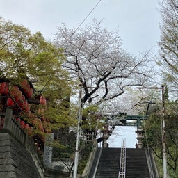 画像 桜ながめて　市谷亀岡神社 の記事より 1つ目
