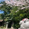 兎の神社　三尾神社の画像