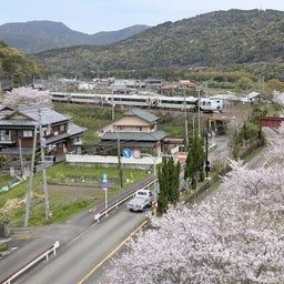 画像 桜　満開です！　（JR西日本２８３系、ぱんだくろしお） の記事より 4つ目