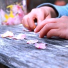 花ざかりの里山。の記事より