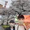 #第51回相模原市民桜まつり〜食品サンプルアトリエStellaありがとうございました☆゛の画像