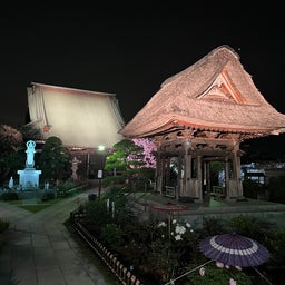 画像 金沢八景：龍華寺の牡丹のライトアップを見に行こう♪ の記事より 3つ目