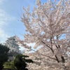 4/7(日)春らんまんでプチトリップと3/30(土)神戸遠征の画像