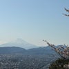 日曜日のリベンジ再度弘法山への画像