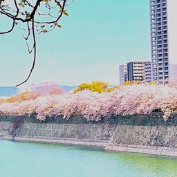 画像 春だから考えること～名古屋の桜～大阪の桜 の記事より 3つ目